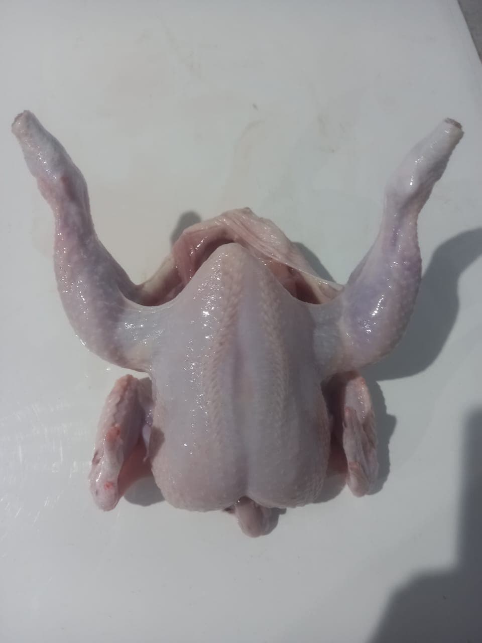 Daging Ayam Berkualitas