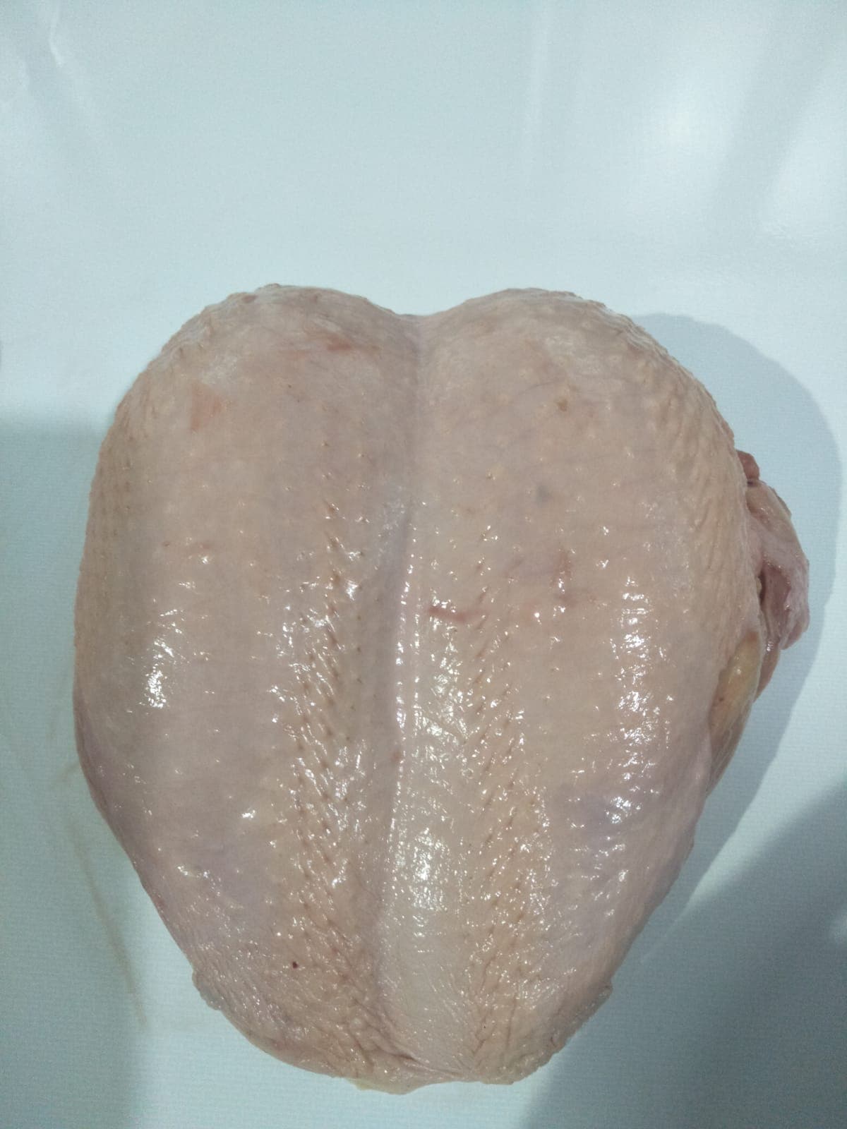 Fillet Dada Ayam Kulit